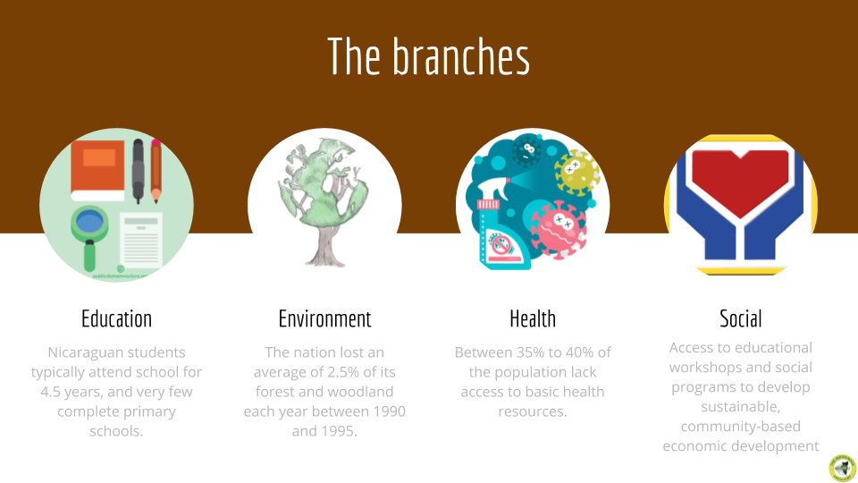 The Four Branches